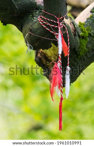 A Token of Spring Hanged by a Tree Branch and Surrounded by a Green Background