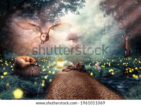A path in a beautiful forest with a fantasy fairy tale feel with wild animals, small mushroom house and mist. Fairy tale concept. Can be used as a background, backdrop Royalty-Free Stock Photo #1961011069