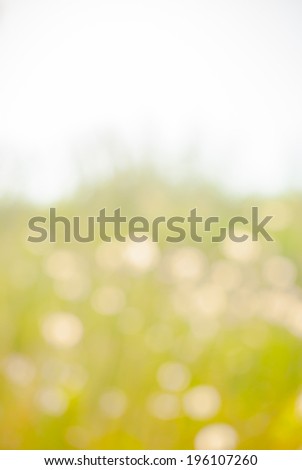 blurred background texture, spring landscape out of focus