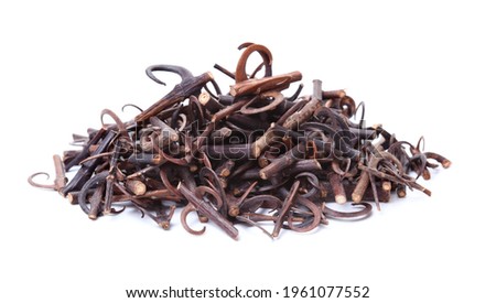 Uncaria Stem with Hooks stock photo