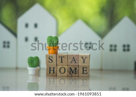 "STAY HOME STAY SAFE" text on wooden blocks and miniature cactus white wood home blur background. Stay home concept of self-isolation during the Covid-19 coronavirus outbreak