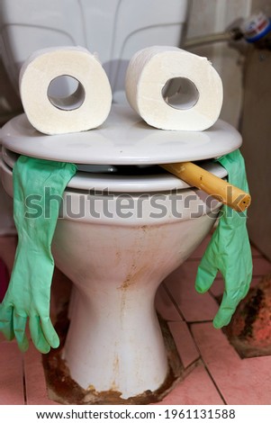 Funny face created from toilet seat and toilet tissue rolls in the toilet
