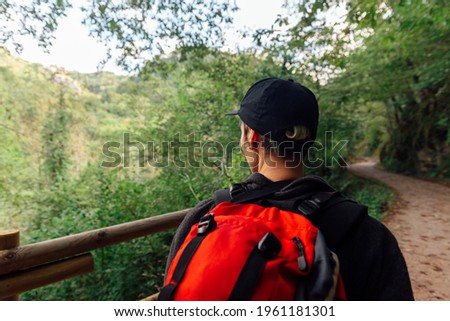 view from behind of unrecognizable hiker traveling through a forest in Asturias. Active turism Royalty-Free Stock Photo #1961181301