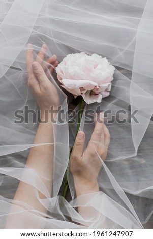 Beautiful spring aesthetics. Hands holding tender peony flower under tulle fabric on dark wooden background, top view with copy space. Soft creative floral greeting card. Pink peony