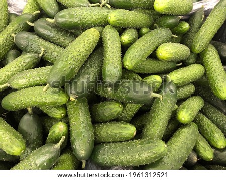 Macro photo fresh cucumber. Stock photo green vegetable cucumber background Royalty-Free Stock Photo #1961312521