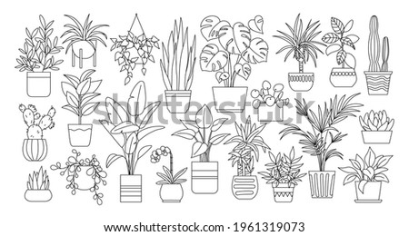Houseplants. Plant outline drawing vector set, succulents in pots. Indoor exotic flowers with stems and leaves. Monstera, ficus, pothos, yucca, dracaena, cacti, snake plant for home and interior Royalty-Free Stock Photo #1961319073