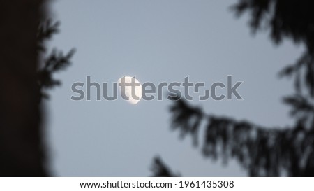 Picture of a moon behind trees