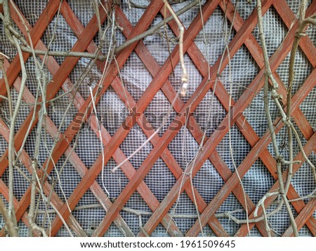dry branches on the background of a wooden trellis gazebo
