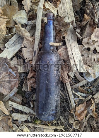 dirty and glass black bottle in the forest