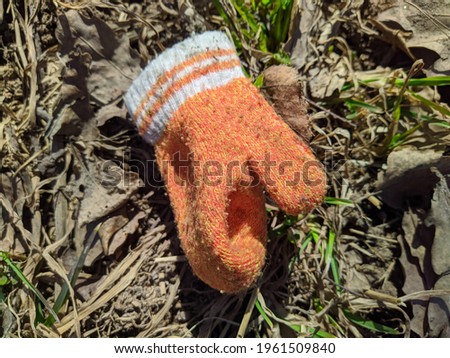 one orange children's glove in the park closeup photo in spring