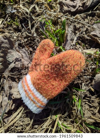 one orange children's glove in the park closeup photo in spring