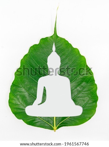 Isolated beautiful silhouette Buddha statue shape of sitting on a fresh green leaf or Pho leaf (bo leaf,bothi leaf) on white background. Clipping path at Budhha in the file.