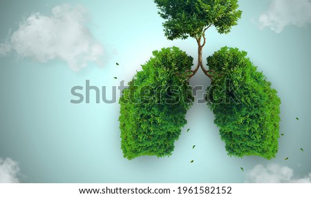 Lung-shaped tree, fresh air concept Royalty-Free Stock Photo #1961582152