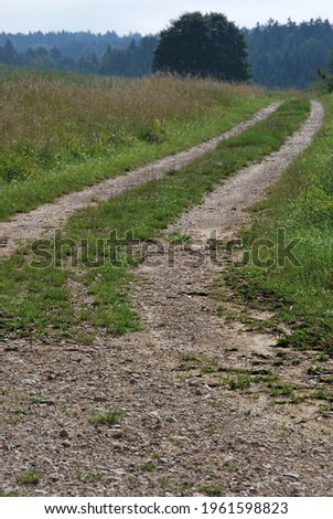 Rural road through the German farmland