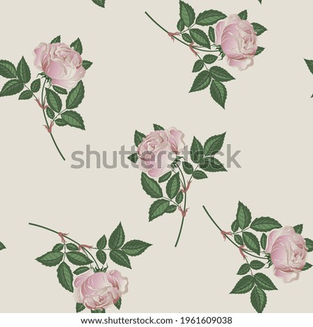 Seamless floral pattern with blooming branches of pink rose flower. On white background.