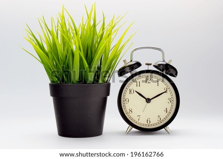 Classic alarm clock with grass pot