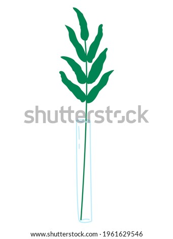 Green twig in a tall narrow glass vase on a white background. Vector design elements.