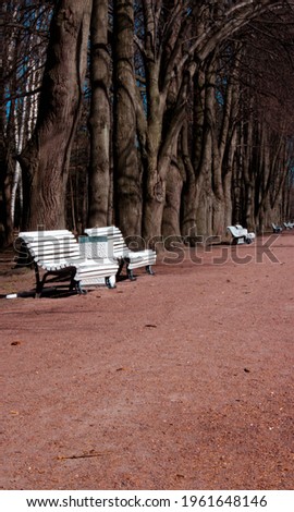 park benches in the spring sun