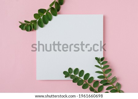 White sheet of paper with green branches on a pink background for a holiday invitation or announcement of discounts and promotions - Minimal flat lay nature