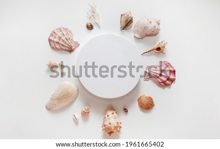 set of varied seashells and corals on a white isolated background. round white blank in the middle. copy space. place fot text