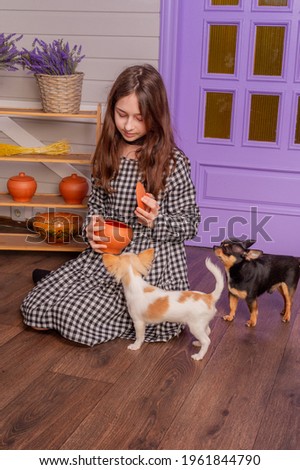 Pretty girl with two chihuahua dogs. dog chihuahua young animal happy girl