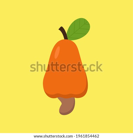 cashew fruit flat design vector illustration. cashew nut vector illustration in cartoon style. Organic food.