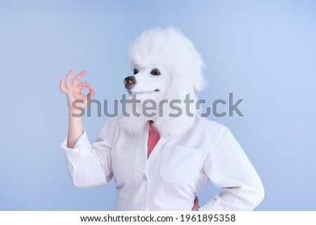 Young woman in a latex dog head mask and white coat making ok hand sign on a blue background. Doctor medical veterinary concepts.