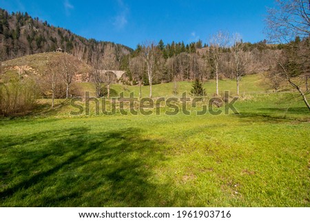 Landscape with trees and mountains in the Black Forst, Germany Royalty-Free Stock Photo #1961903716