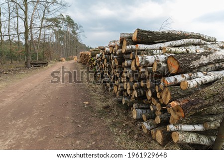 wood yard for sale, forest clearance, forest management
