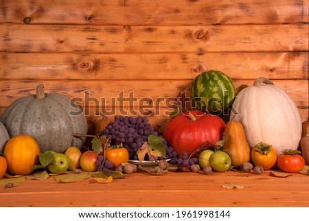 Still life of the autumn harvest of pumpkins, watermelons, melons, pears, apples, walnuts, hazelnuts and persimmons on a wooden background