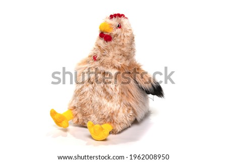 Soft chicken toy isolated on white.
