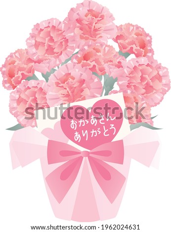 Potted pink carnation with a card of the Mother's Day. Translation : "Thanks mother"