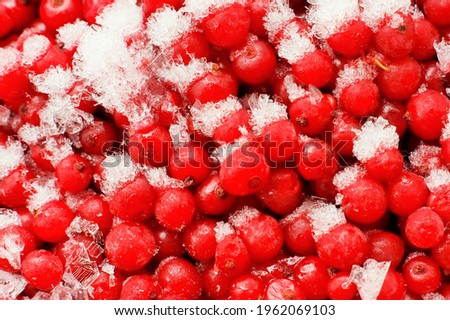 Sale of fresh frozen berries. Frozen cranberries close up