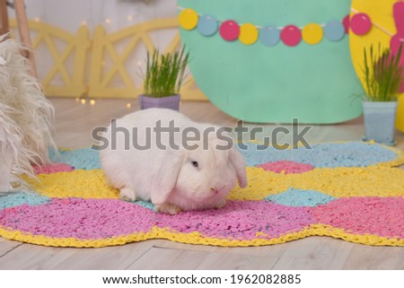 Easter huge big white rabbit with blue eyes on a bright multi-colored photo zone