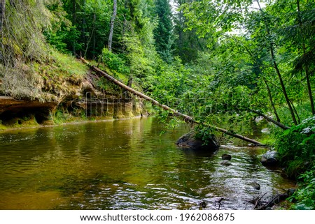 small country river stream in summer green forest with rocks and low water