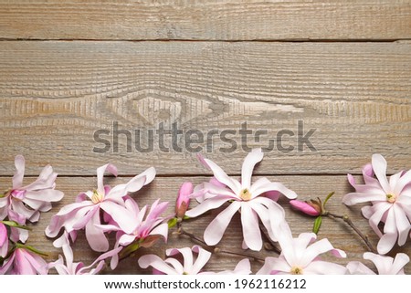 Magnolia tree branches with beautiful flowers on wooden table, flat lay. Space for text
