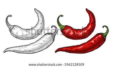 Whole pepper chilli. Vintage hatching vector color and black illustration. Isolated on white background. Hand drawn design Royalty-Free Stock Photo #1962128509