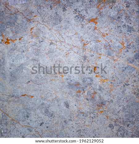 Abstract. Background image of marble with beautiful patterned donkey.