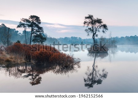 misty sunrise over a fen in the Oisterwijk forests and fens area in the Dutch province of North Brabant Royalty-Free Stock Photo #1962152566