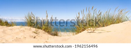 Panoramic view of sand dunes with beach grass   Royalty-Free Stock Photo #1962156496