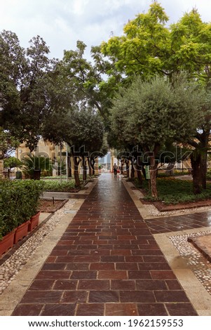 Beautiful Malta capital Valleta city garden view on rainy cloudy day, wet road, green trees, rain puddle, , sand stone, small rocks, people in background