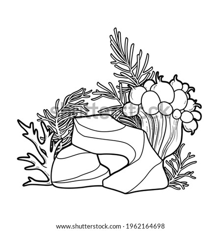 Anemones and coral on stone coloring book linear drawing isolated on white background