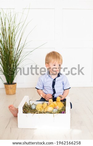 Cute children, boy, playing with ducks
