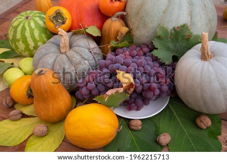 Still life of the autumn harvest of pumpkins, watermelons, melons, pears, apples, walnuts, grapes and persimmons on a wooden background