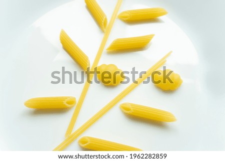 Macaroni tree on white background