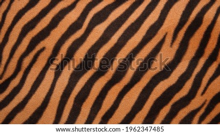 Background image - tiger color texture