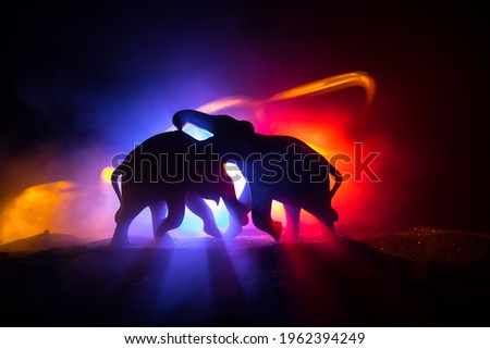 Elephant fighing silhouettes on fire background or Two elephant bulls interact and communicate while play fighting. Creative table decoration with colorful backlight with fog. Selective focus