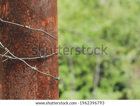 Close-up of a pillar on which a barbed wire is stretched with sharp thorns located on it against a background of growing greenery.