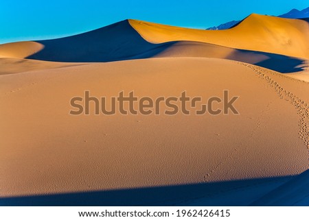 Magic play of light on the sand. Dunes illuminated by orange sunset. USA. Mesquite Flat Sand Dunes is part of Death Valley in California. The concept of ecological and photo tourism
