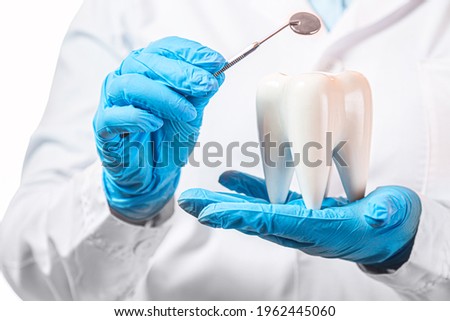 Oral dental hygiene. Healthy white tooth model and dentist mirror instrument in dentist hands and rubber gloves. Royalty-Free Stock Photo #1962445060